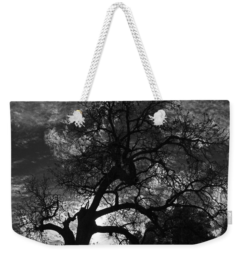 Tree Weekender Tote Bag featuring the photograph Spooky Tree by Shoal Hollingsworth