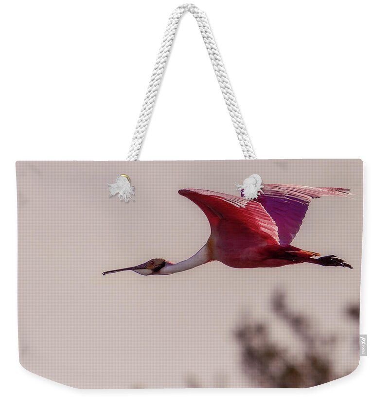 Bird Weekender Tote Bag featuring the photograph Spoonbill by Norman Peay
