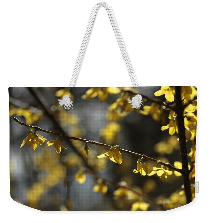 Connie Handscomb Weekender Tote Bag featuring the photograph Spotlights by Connie Handscomb