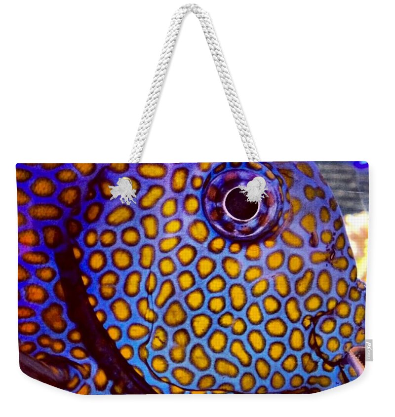 Fish Weekender Tote Bag featuring the photograph Spots Galore by Denise Railey