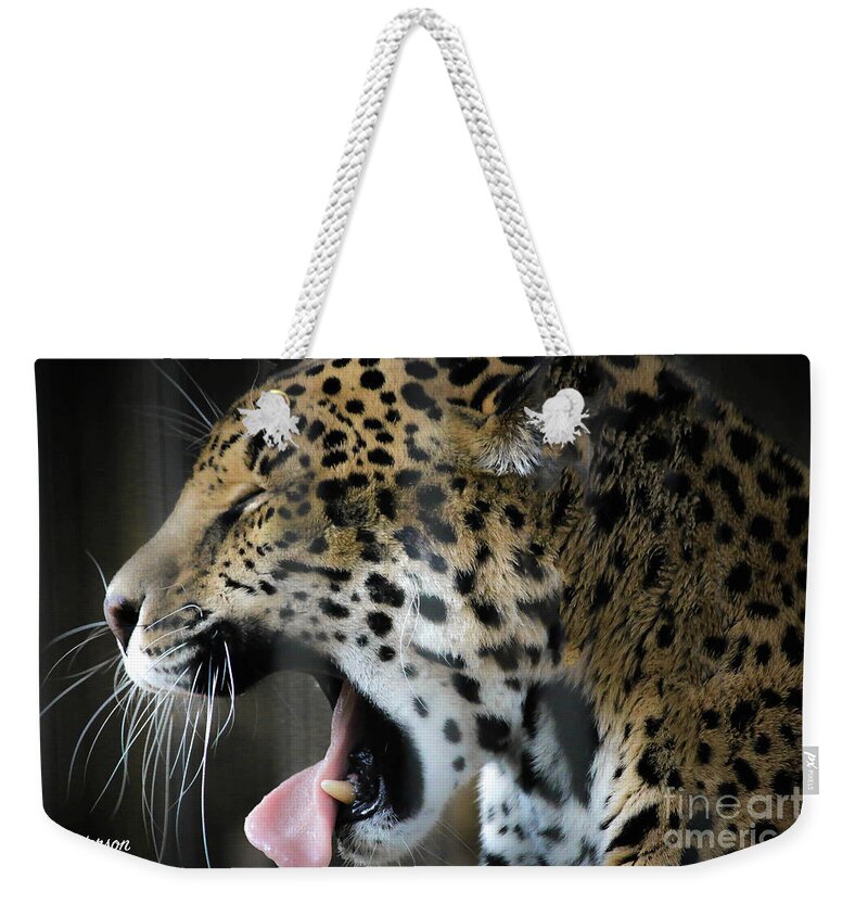 Spotted Jaguar Weekender Tote Bag featuring the photograph Spotted Jaguar Memphis Zoo by Veronica Batterson
