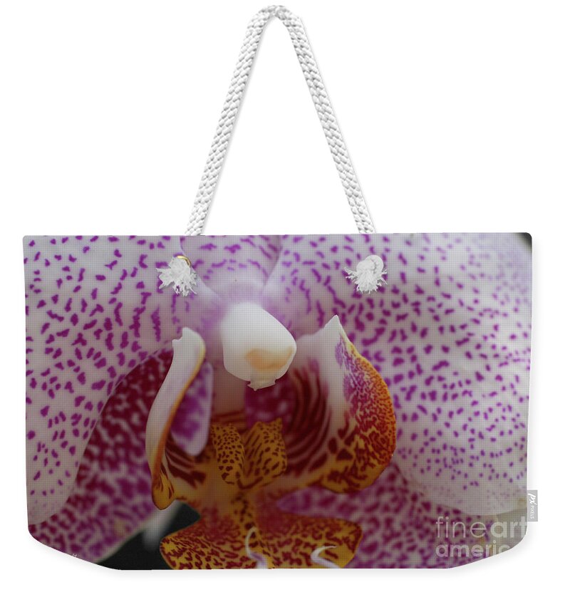Orchid Weekender Tote Bag featuring the photograph Spotted Orchid by E B Schmidt