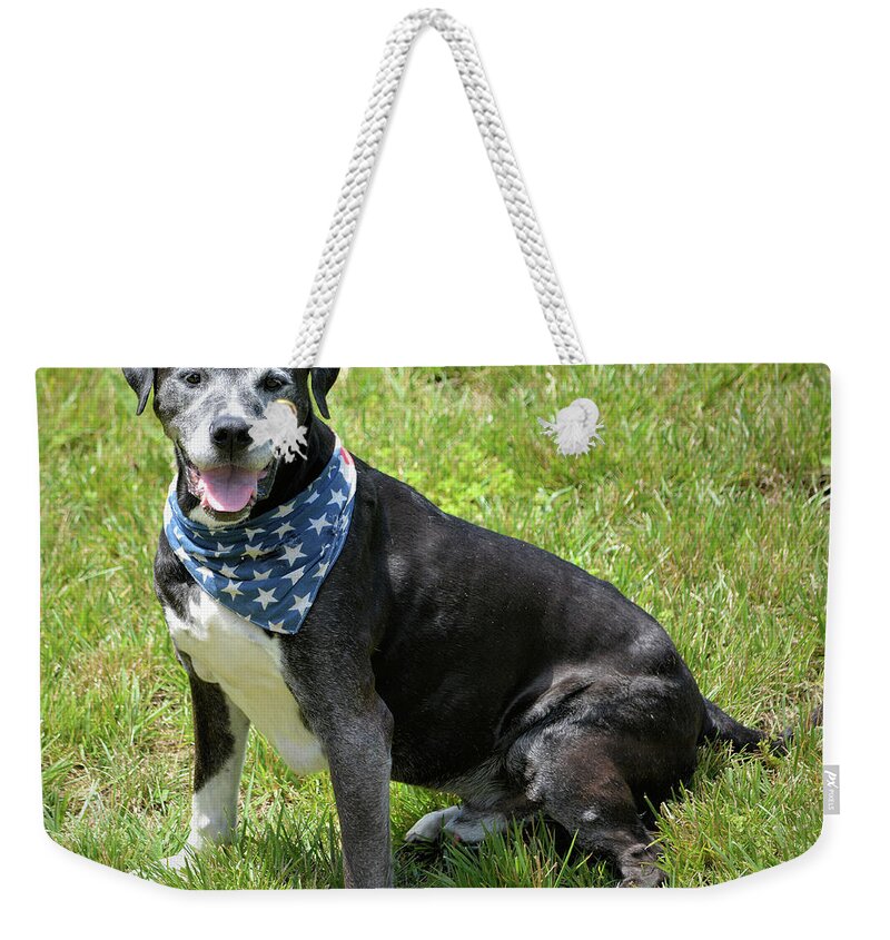  Weekender Tote Bag featuring the photograph Spr 1 by Robert McCubbin
