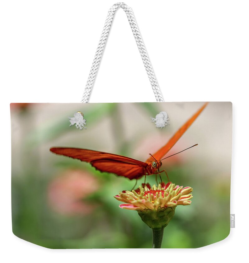 Butterfly Weekender Tote Bag featuring the photograph Spread your Wings by Mary Anne Delgado