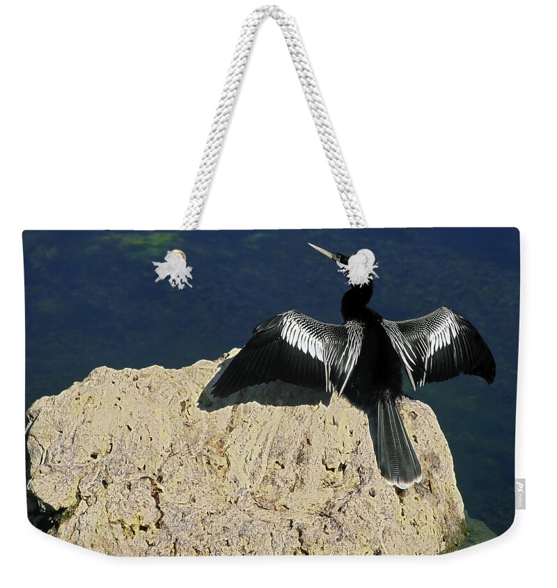 Anhinga Weekender Tote Bag featuring the photograph Spreading My Wings by Sally Weigand