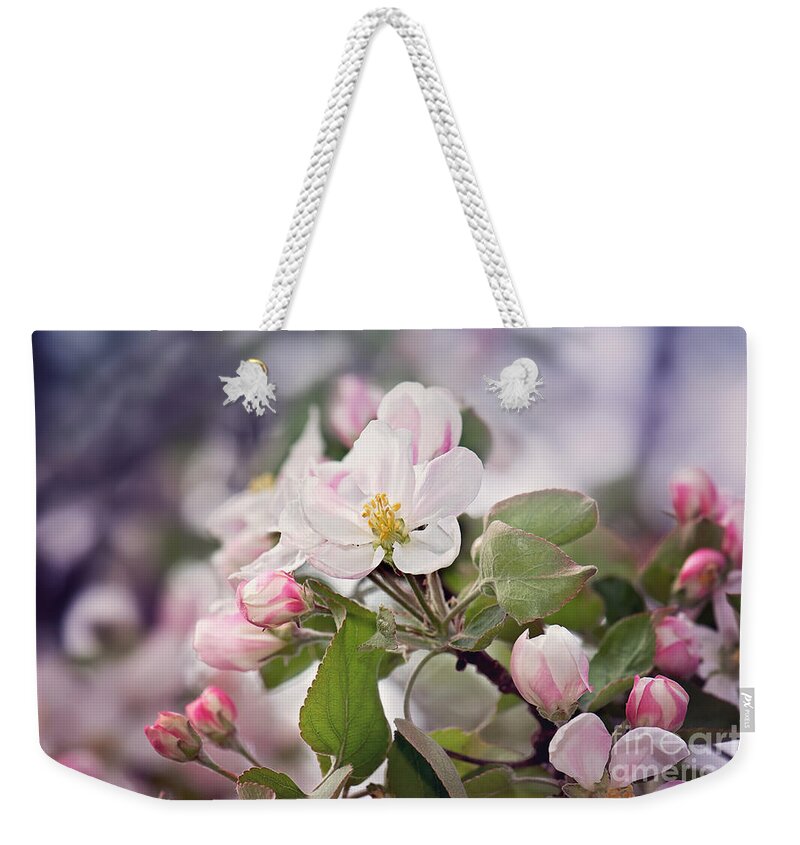 Spring Apple Blossom Print Weekender Tote Bag featuring the photograph Spring Apple Blossoms by Gwen Gibson