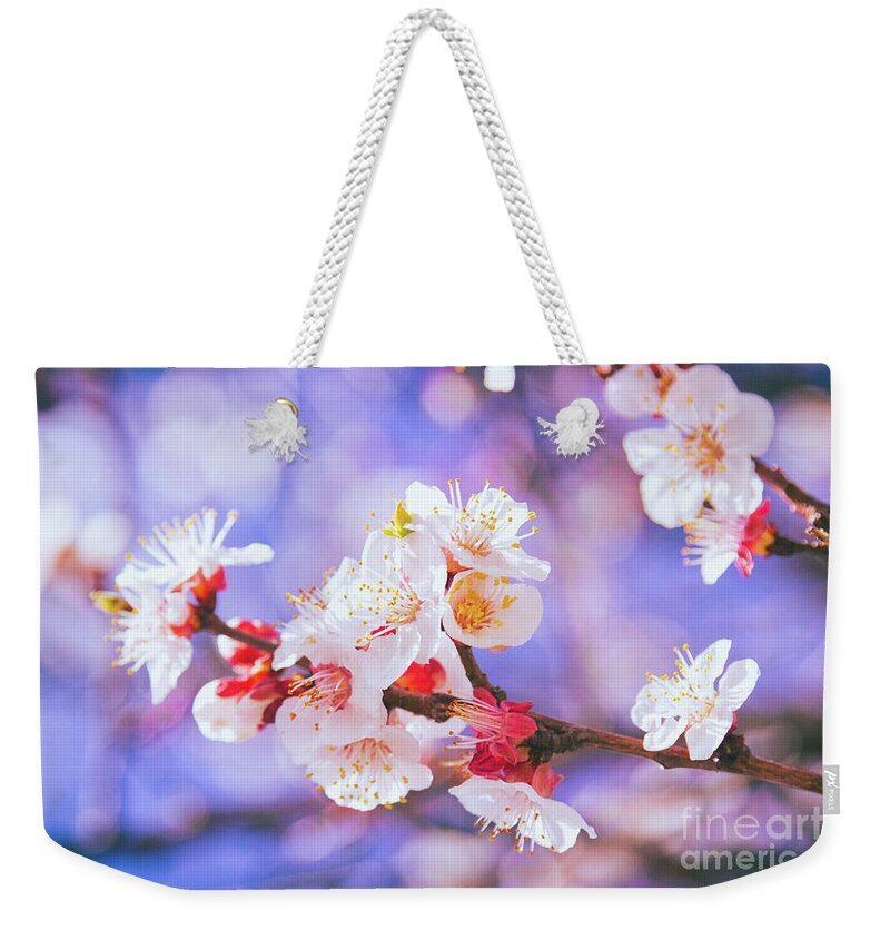 Cherry Blossom Weekender Tote Bag featuring the photograph Spring Arrives by Becqi Sherman