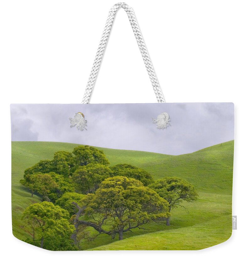 Landscape Weekender Tote Bag featuring the photograph Spring at Del Valle by Karen W Meyer