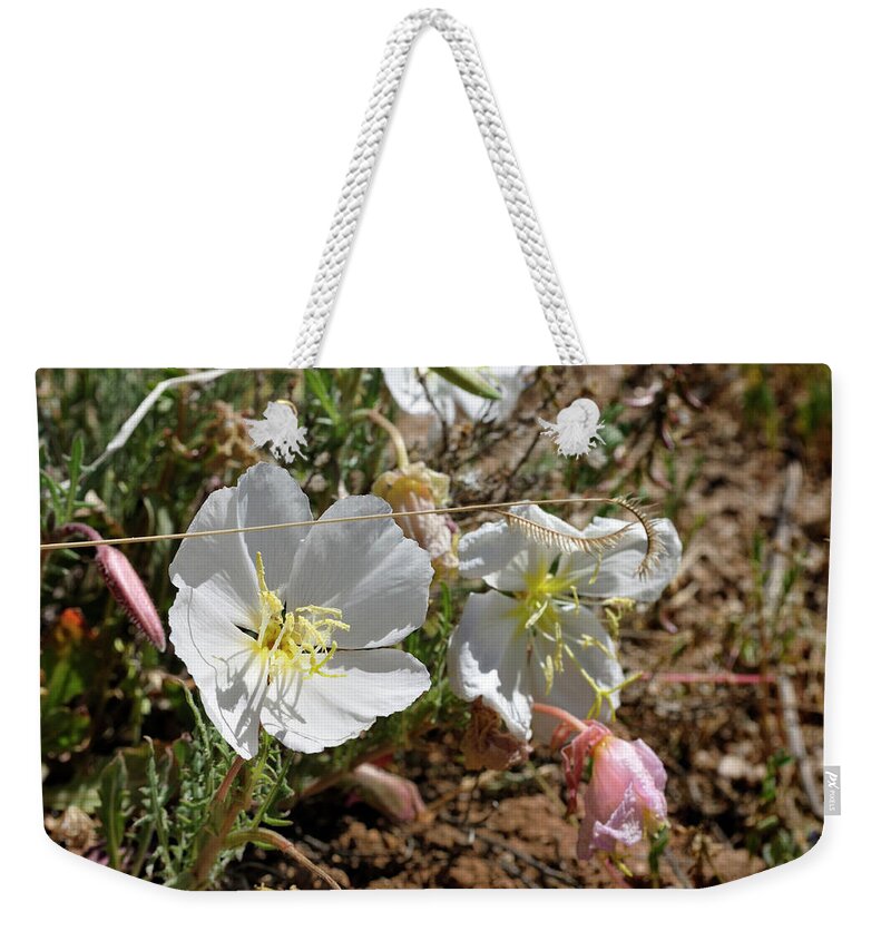 Landscape Weekender Tote Bag featuring the photograph Spring at Last by Ron Cline