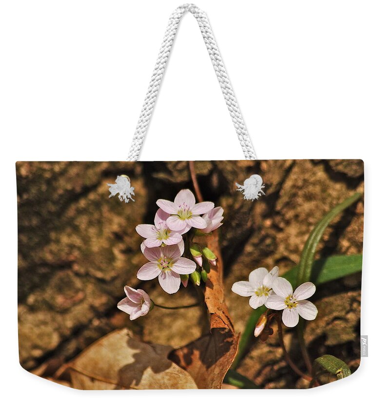 Spring Weekender Tote Bag featuring the photograph Spring Beauty by Michael Peychich