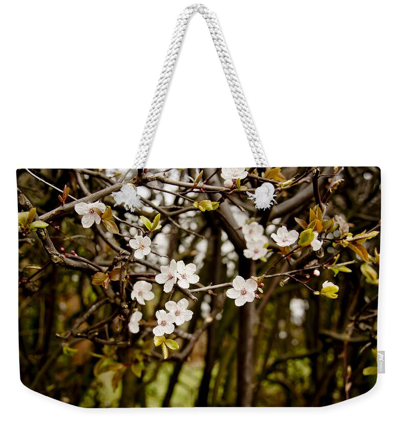 Bare Weekender Tote Bag featuring the photograph Spring bloom. by Elena Perelman