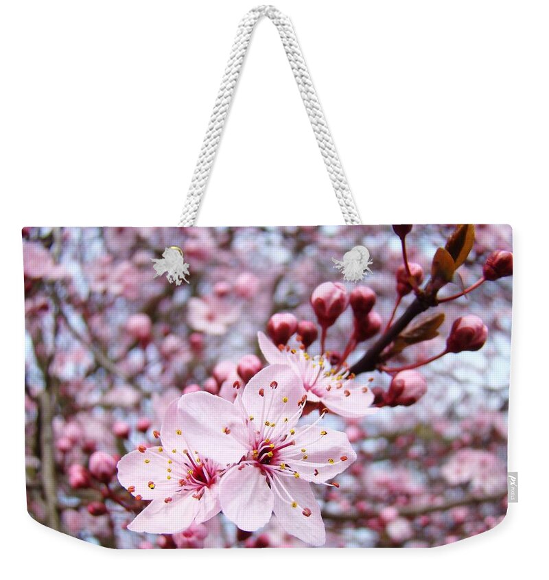 Blossom Weekender Tote Bag featuring the photograph Spring Blossoms Art Pink Tree Blossom Baslee Troutman by Patti Baslee