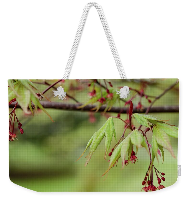 Spring Weekender Tote Bag featuring the photograph Spring Blossoms by Holly Ross