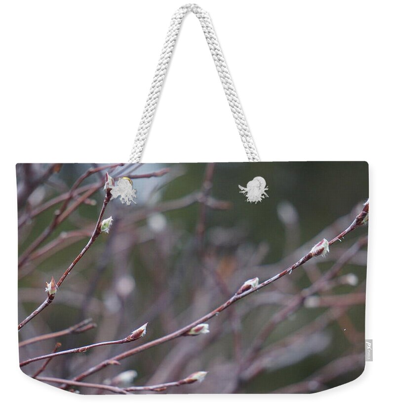 Spring Weekender Tote Bag featuring the photograph Spring Buds by Brooke Bowdren