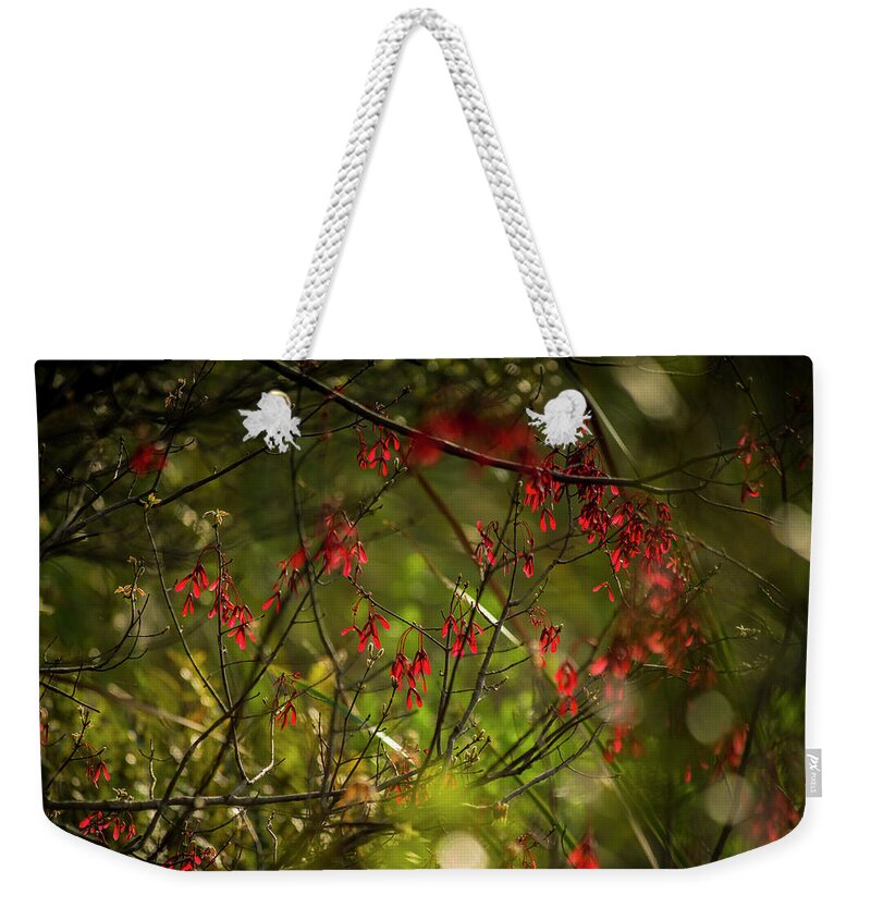Booker Creek Weekender Tote Bag featuring the photograph Spring Color by Marvin Spates