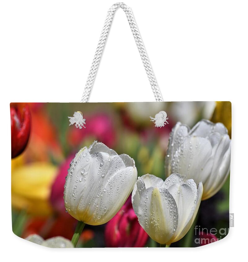 Spring Colors Weekender Tote Bag featuring the photograph Spring Colors by Julie Adair