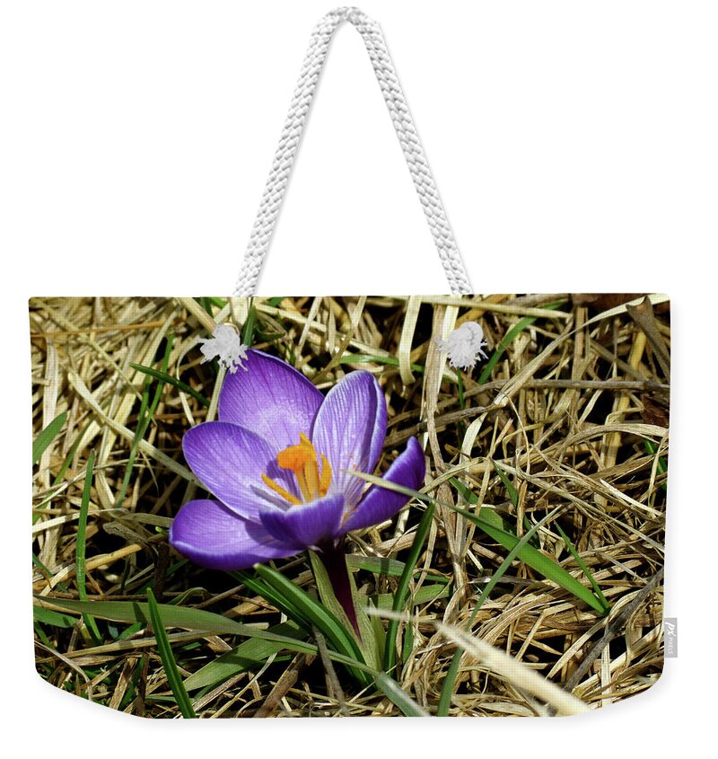 Crocus Weekender Tote Bag featuring the photograph Spring Crocus by Azthet Photography