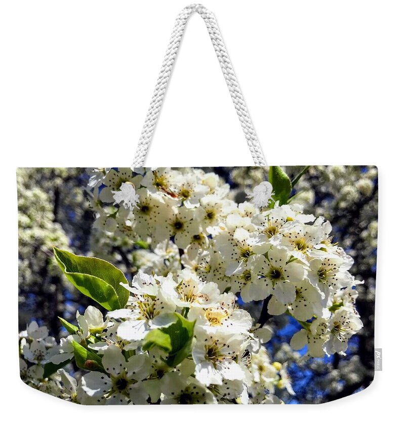 Flowers Weekender Tote Bag featuring the photograph Spring Flowers by Chris Montcalmo