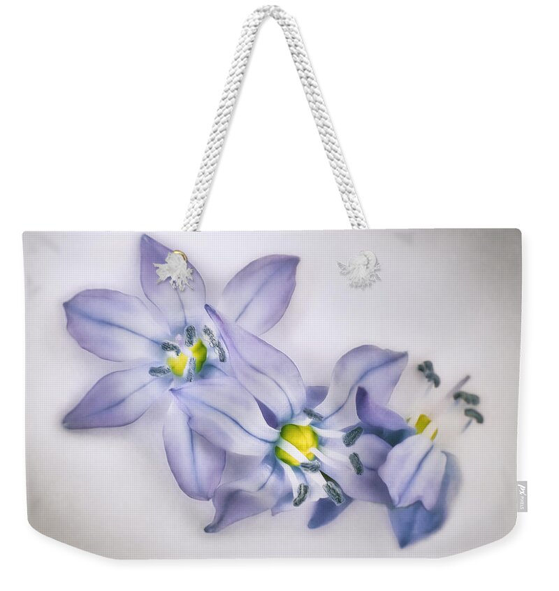 Spring Flowers Weekender Tote Bag featuring the photograph Spring Flowers on White by Scott Norris