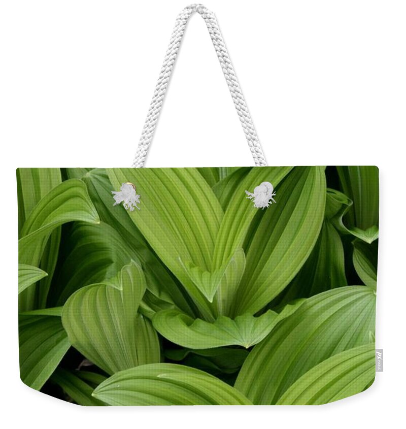 Plants Weekender Tote Bag featuring the photograph Spring Green by Angie Schutt