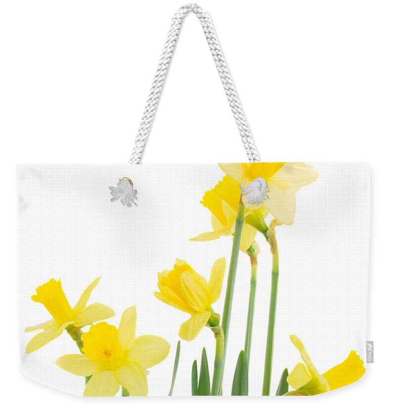 Narcissus Weekender Tote Bag featuring the photograph Spring Growing Daffodils by Anastasy Yarmolovich