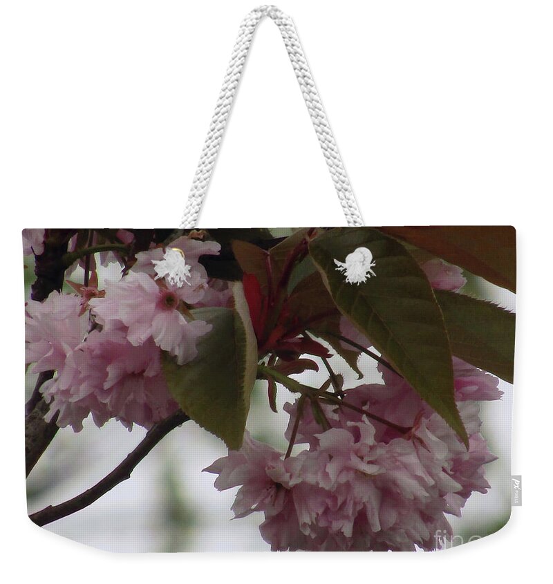 Cherry Blossoms Weekender Tote Bag featuring the photograph Spring In Pink 2 by Kim Tran