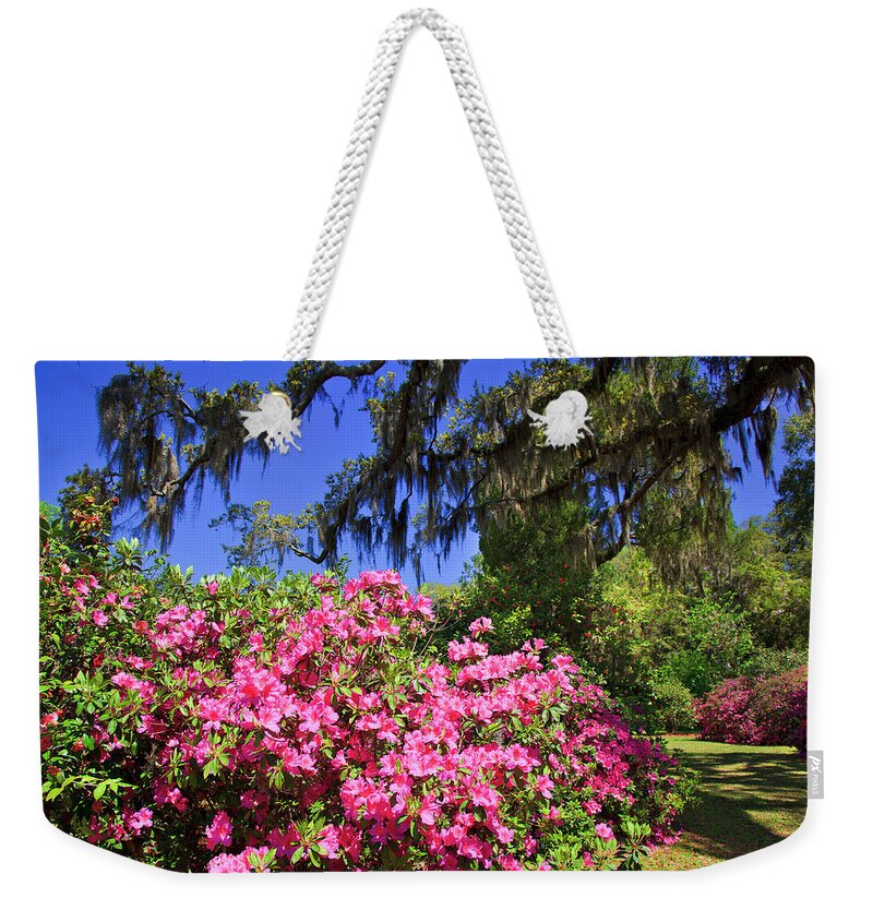 Pink Weekender Tote Bag featuring the photograph Spring in the South by Jill Lang