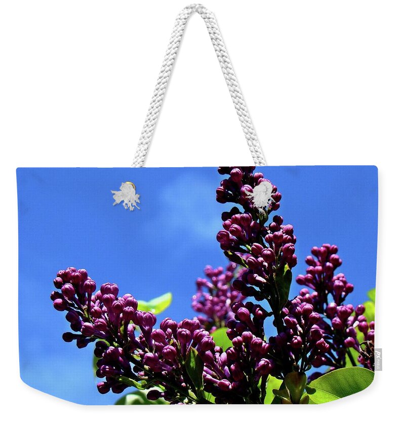 Lilac Weekender Tote Bag featuring the photograph Spring Lilac by Nick Kloepping