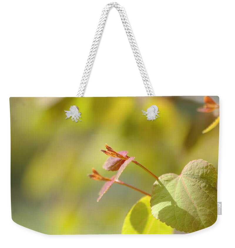 Spring Weekender Tote Bag featuring the photograph Spring macro2 by Jeff Burgess