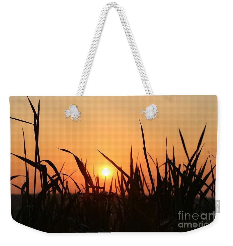 Morning Weekender Tote Bag featuring the photograph Spring Meadow Sunrise by Neal Eslinger