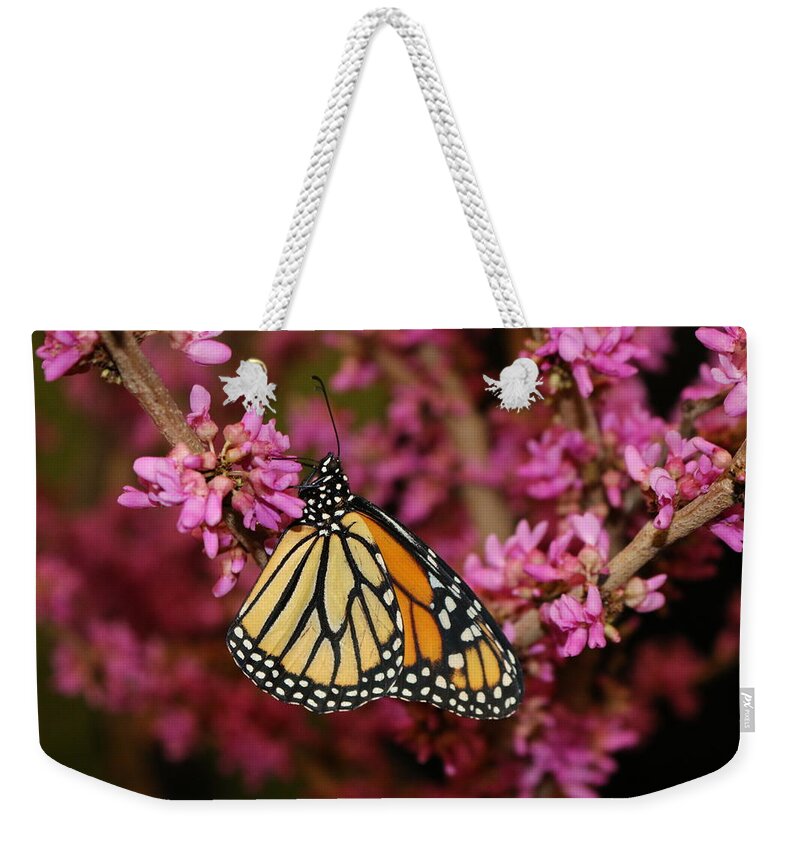 Monarch Weekender Tote Bag featuring the photograph Spring Monarch by Living Color Photography Lorraine Lynch