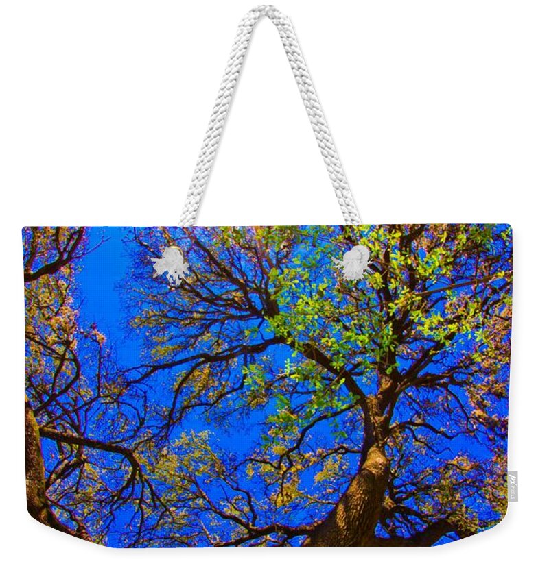 Michael Tidwell Photography Weekender Tote Bag featuring the photograph Spring Oak by Michael Tidwell