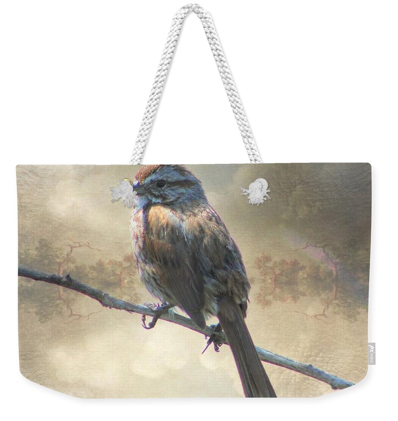 Bird Weekender Tote Bag featuring the photograph Spring Perch by Kathy Bassett