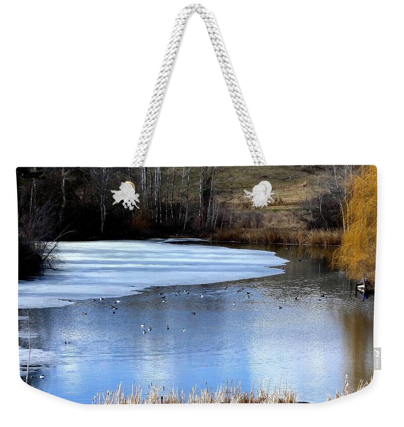 Pond Weekender Tote Bag featuring the photograph Spring Pond by Will Borden
