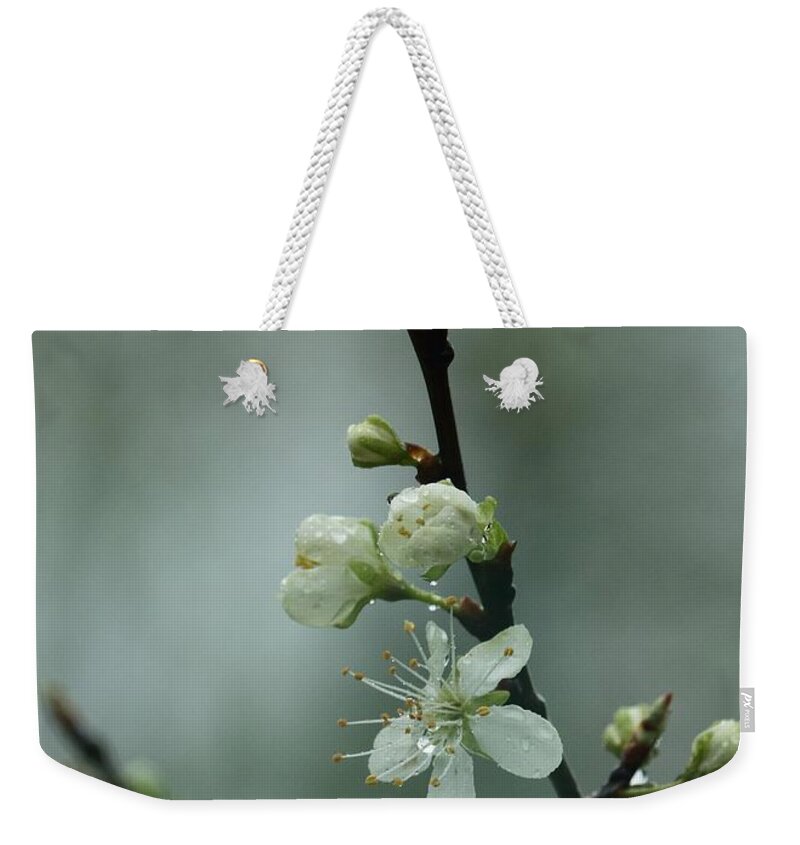 Spring Weekender Tote Bag featuring the photograph Spring Rain Mood by I'ina Van Lawick