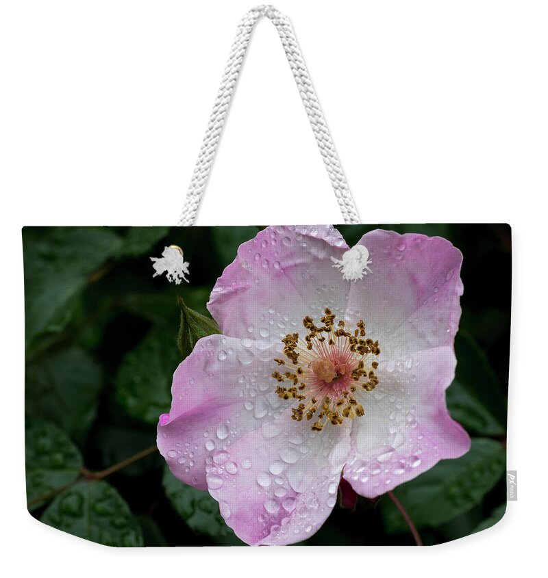 Flowers Weekender Tote Bag featuring the photograph Spring Rain by Steven Clark
