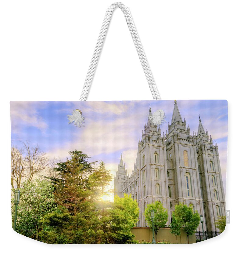 Salt Lake Weekender Tote Bag featuring the photograph Spring Rest by Chad Dutson