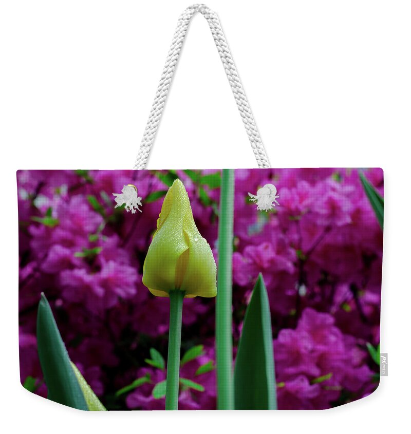 Spring Weekender Tote Bag featuring the photograph Spring Series #05 by John Diebolt