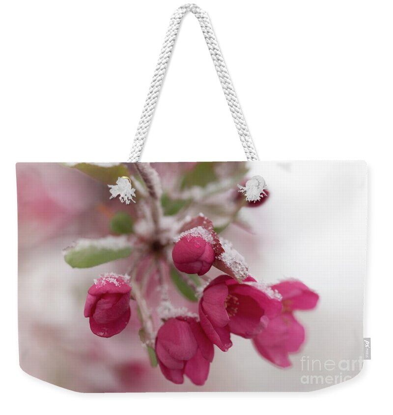 Spring Weekender Tote Bag featuring the photograph Spring Snow by Ana V Ramirez