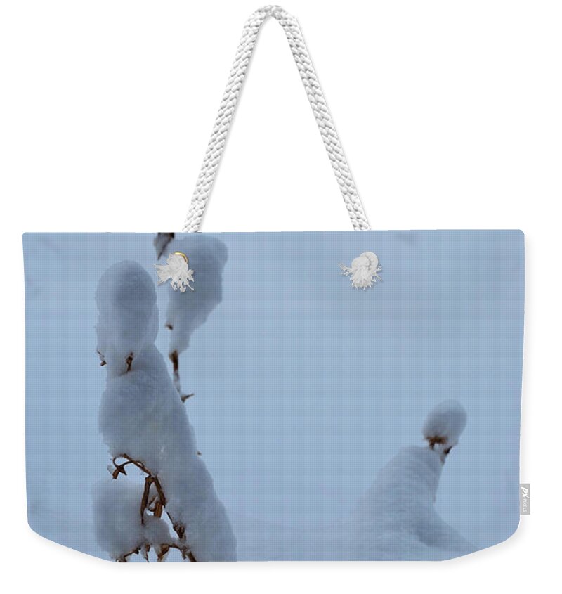Landscape Weekender Tote Bag featuring the photograph Spring Snow by Ron Cline