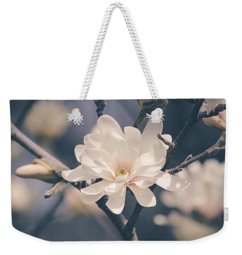 Spring Weekender Tote Bag featuring the photograph Spring Sonnet by Viviana Nadowski