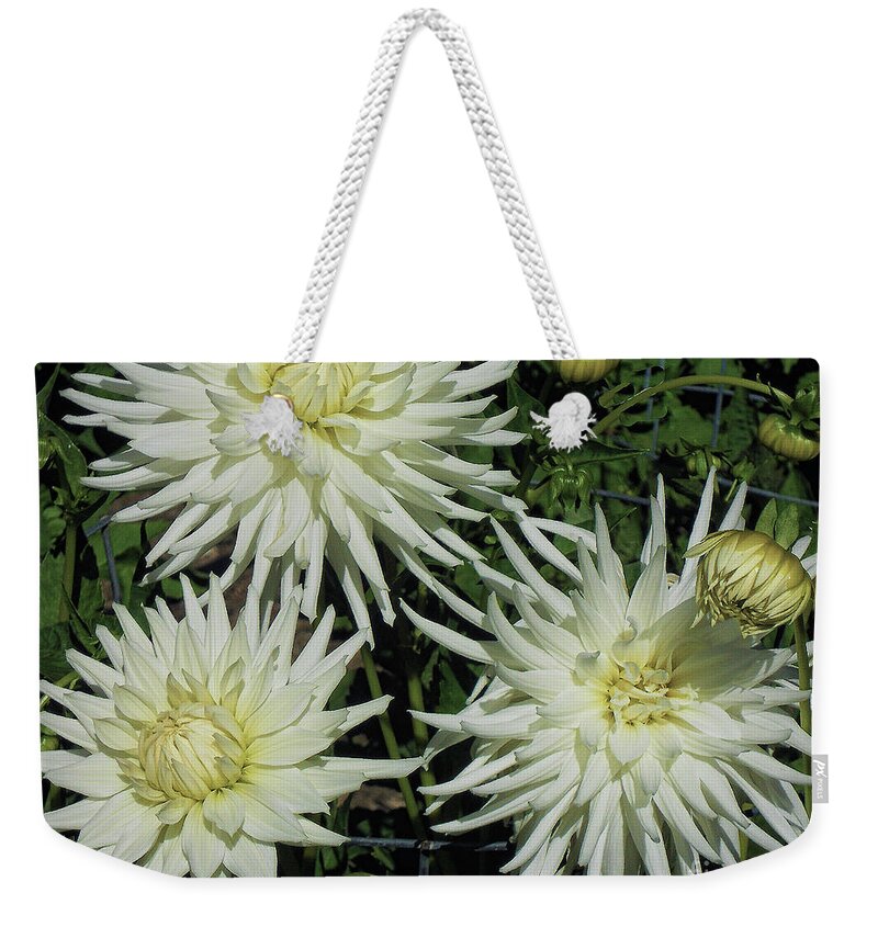 Flower Weekender Tote Bag featuring the photograph Spring Splendor by Joyce Creswell