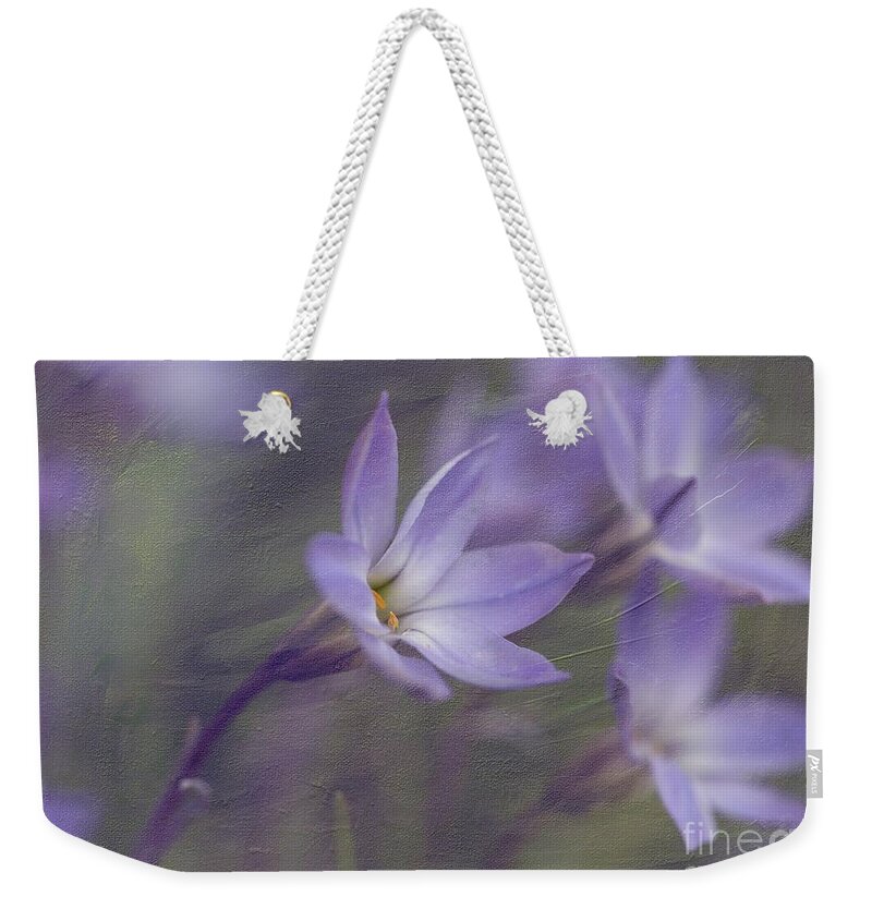 Ipheion Uniflorum Weekender Tote Bag featuring the photograph Spring Starflower by Eva Lechner