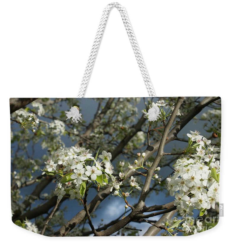 Blossoms Weekender Tote Bag featuring the photograph Spring Storm by Christine Jepsen