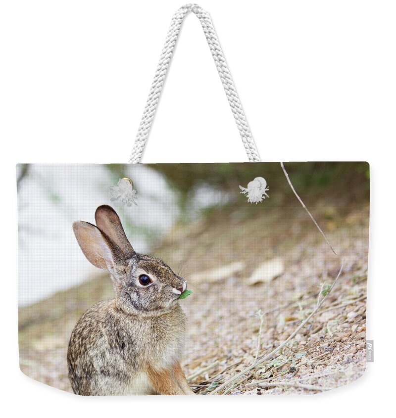 Digital Photography Weekender Tote Bag featuring the photograph Spring time by Afrodita Ellerman