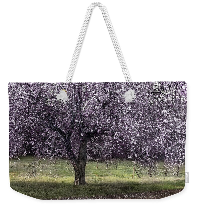 Apple Tree Weekender Tote Bag featuring the photograph Spring Time In The Country by Mike Eingle