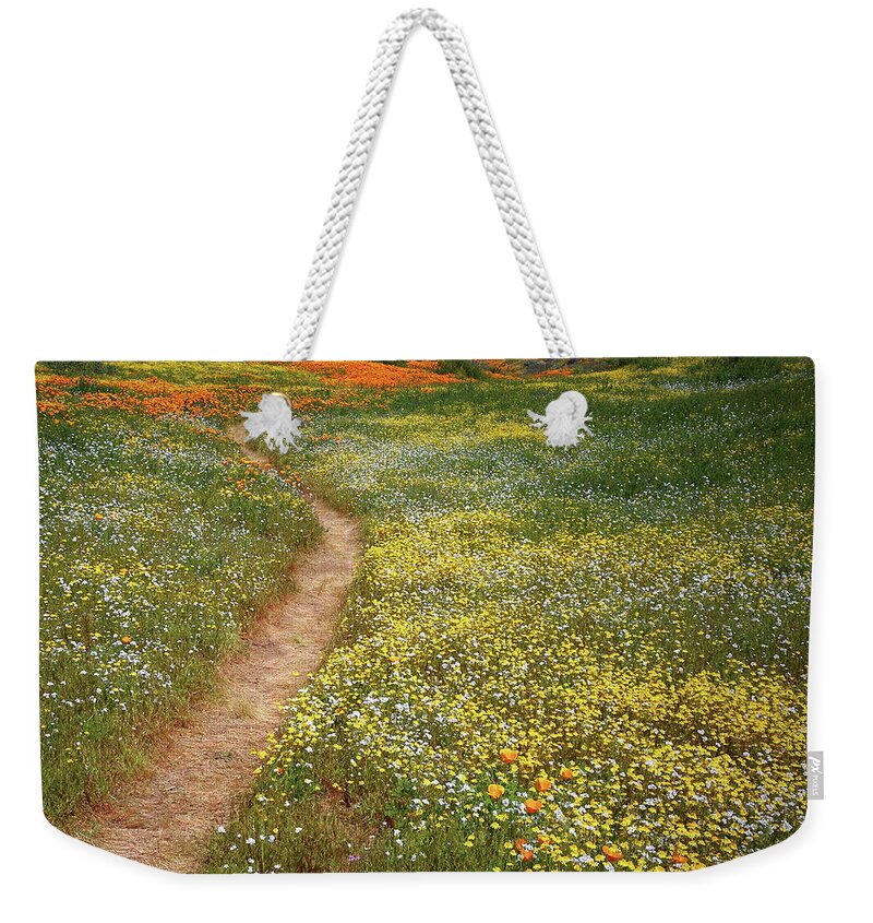 Wildflower Weekender Tote Bag featuring the photograph Spring trail through a sea of wildflowers at Diamond Lake in California by Jetson Nguyen