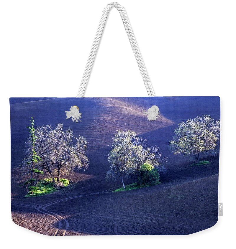 Outdoors Weekender Tote Bag featuring the photograph Spring Trees II by Doug Davidson