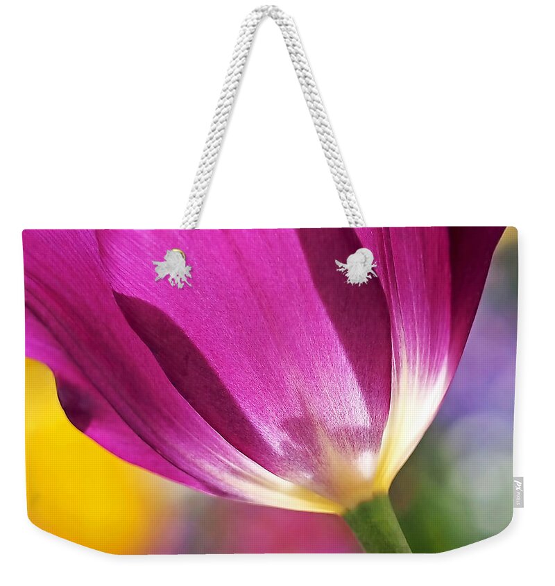 Tulip Weekender Tote Bag featuring the photograph Spring Tulip - Square by Rona Black