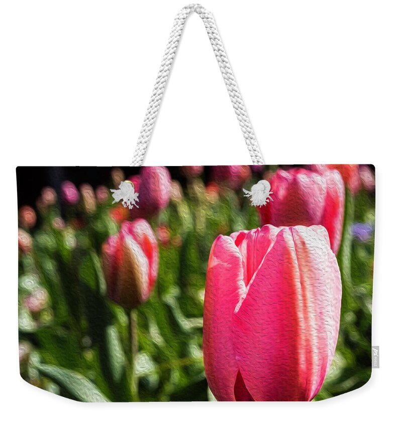 Spring Weekender Tote Bag featuring the photograph Spring Tulips by Cynthia Wolfe